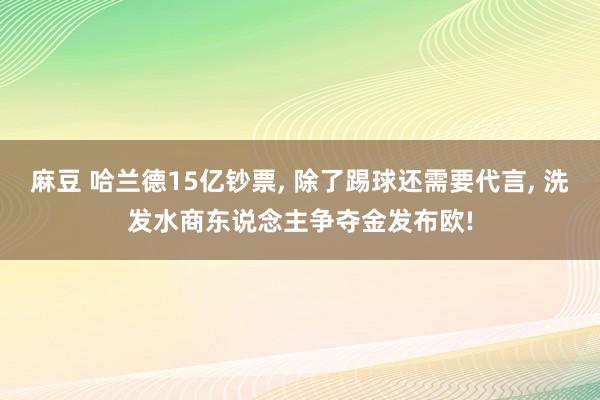 麻豆 哈兰德15亿钞票, 除了踢球还需要代言, 洗发水商东说念主争夺金发布欧!