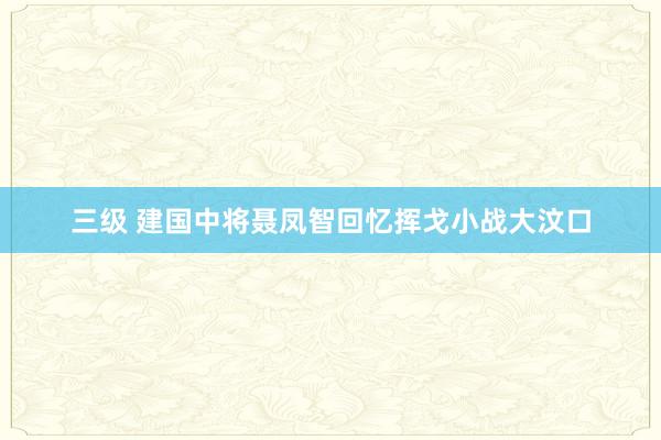 三级 建国中将聂凤智回忆挥戈小战大汶口