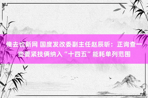 俺去也新网 国度发改委副主任赵辰昕：正询查一些要紧技俩纳入“十四五”能耗单列范围
