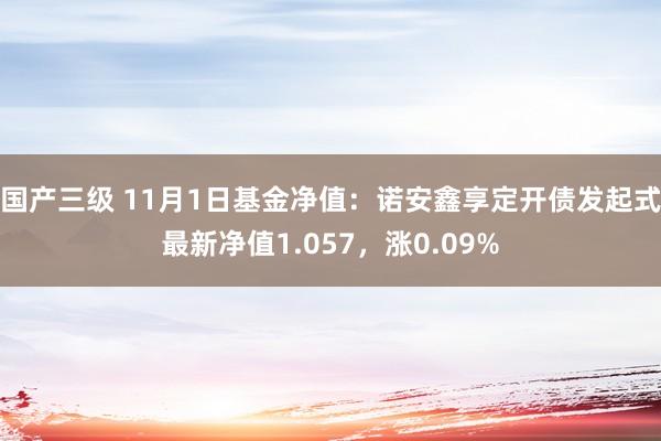 国产三级 11月1日基金净值：诺安鑫享定开债发起式最新净值1.057，涨0.09%