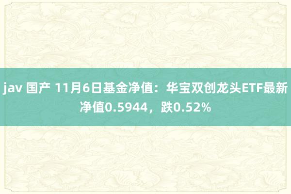 jav 国产 11月6日基金净值：华宝双创龙头ETF最新净值0.5944，跌0.52%