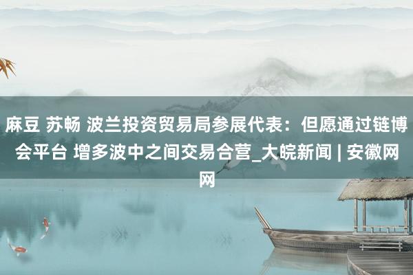 麻豆 苏畅 波兰投资贸易局参展代表：但愿通过链博会平台 增多波中之间交易合营_大皖新闻 | 安徽网