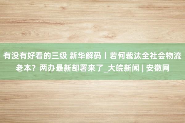 有没有好看的三级 新华解码丨若何裁汰全社会物流老本？两办最新部署来了_大皖新闻 | 安徽网