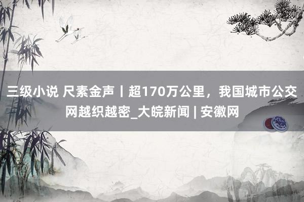三级小说 尺素金声丨超170万公里，我国城市公交网越织越密_大皖新闻 | 安徽网