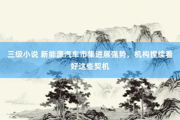 三级小说 新能源汽车市集进展强势，机构捏续看好这些契机