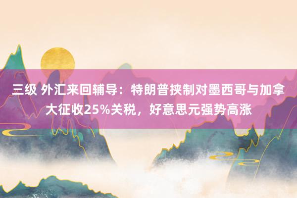 三级 外汇来回辅导：特朗普挟制对墨西哥与加拿大征收25%关税，好意思元强势高涨