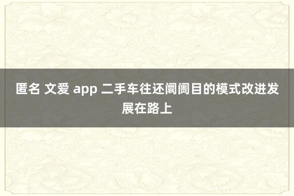匿名 文爱 app 二手车往还阛阓目的模式改进发展在路上