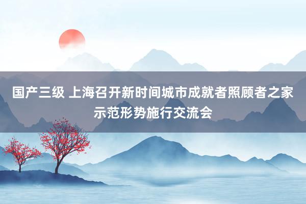 国产三级 上海召开新时间城市成就者照顾者之家示范形势施行交流会