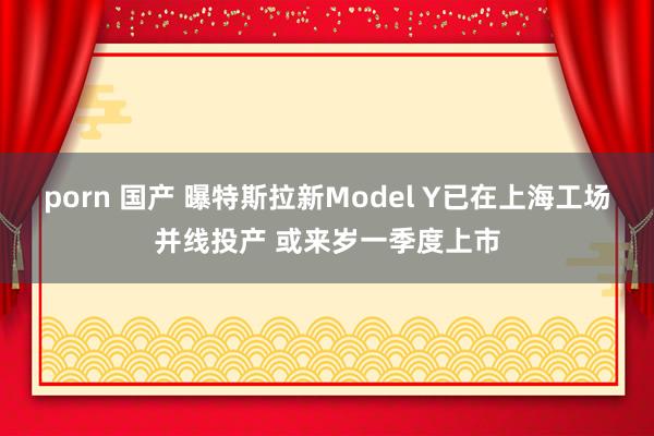 porn 国产 曝特斯拉新Model Y已在上海工场并线投产 或来岁一季度上市