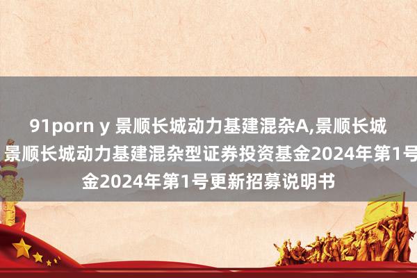 91porn y 景顺长城动力基建混杂A,景顺长城动力基建混杂C: 景顺长城动力基建混杂型证券投资基金2024年第1号更新招募说明书