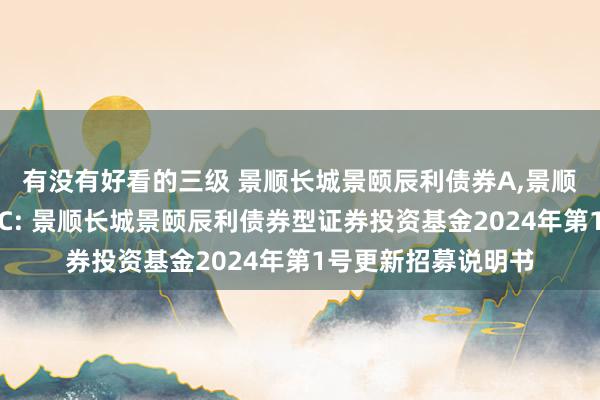 有没有好看的三级 景顺长城景颐辰利债券A,景顺长城景颐辰利债券C: 景顺长城景颐辰利债券型证券投资基金2024年第1号更新招募说明书