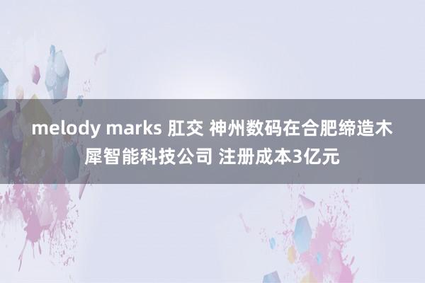 melody marks 肛交 神州数码在合肥缔造木犀智能科技公司 注册成本3亿元