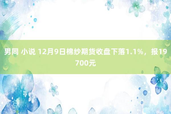 男同 小说 12月9日棉纱期货收盘下落1.1%，报19700元