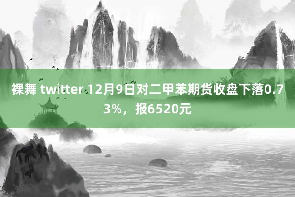 裸舞 twitter 12月9日对二甲苯期货收盘下落0.73%，报6520元