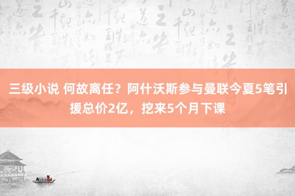 三级小说 何故离任？阿什沃斯参与曼联今夏5笔引援总价2亿，挖来5个月下课