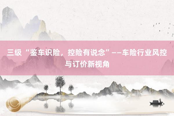 三级 “鉴车识险，控险有说念”——车险行业风控与订价新视角