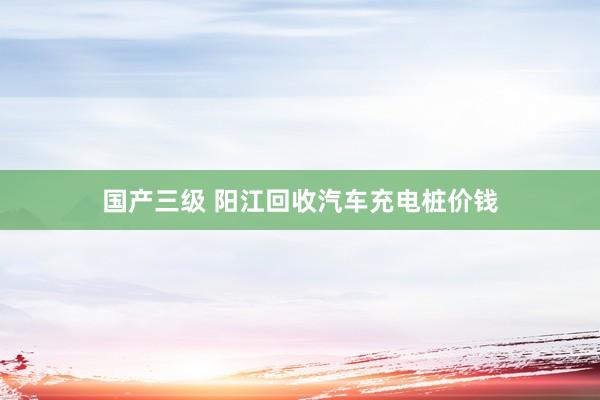 国产三级 阳江回收汽车充电桩价钱