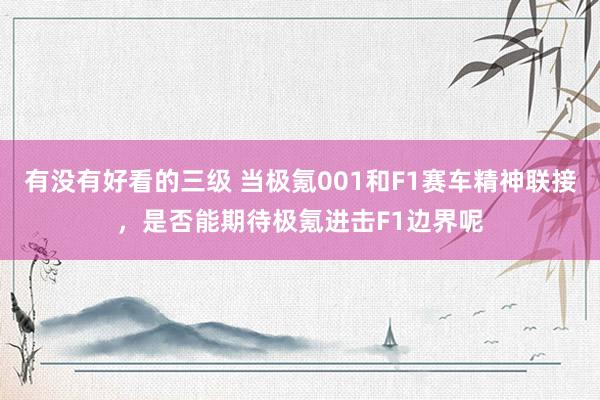有没有好看的三级 当极氪001和F1赛车精神联接，是否能期待极氪进击F1边界呢