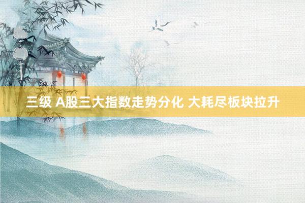 三级 A股三大指数走势分化 大耗尽板块拉升