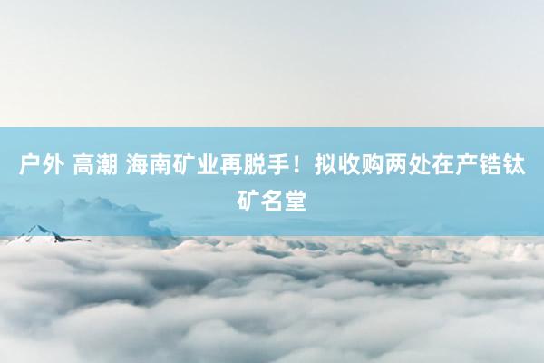 户外 高潮 海南矿业再脱手！拟收购两处在产锆钛矿名堂