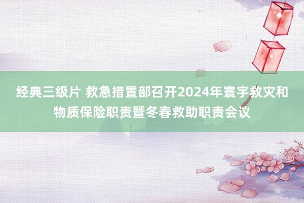 经典三级片 救急措置部召开2024年寰宇救灾和物质保险职责暨冬春救助职责会议