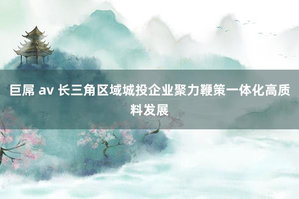巨屌 av 长三角区域城投企业聚力鞭策一体化高质料发展