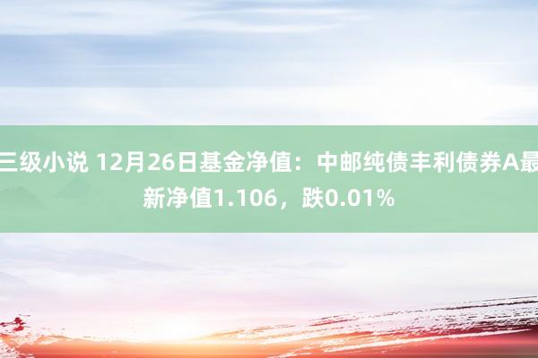 三级小说 12月26日基金净值：中邮纯债丰利债券A最新净值1.106，跌0.01%