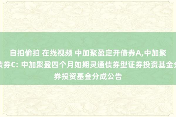 自拍偷拍 在线视频 中加聚盈定开债券A,中加聚盈定开债券C: 中加聚盈四个月如期灵通债券型证券投资基金分成公告