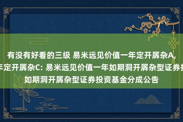 有没有好看的三级 易米远见价值一年定开羼杂A,易米远见价值一年定开羼杂C: 易米远见价值一年如期洞开羼杂型证券投资基金分成公告