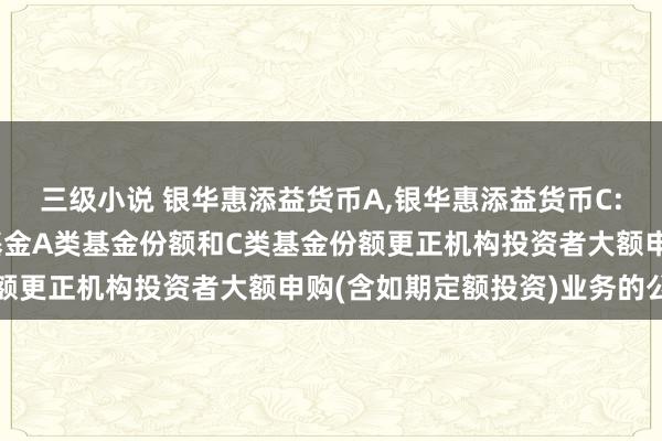 三级小说 银华惠添益货币A,银华惠添益货币C: 银华惠添益货币市集基金A类基金份额和C类基金份额更正机构投资者大额申购(含如期定额投资)业务的公告