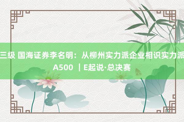 三级 国海证券李名明：从柳州实力派企业相识实力派A500 ｜E起说·总决赛