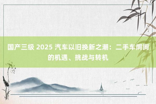 国产三级 2025 汽车以旧换新之潮：二手车阛阓的机遇、挑战与转机