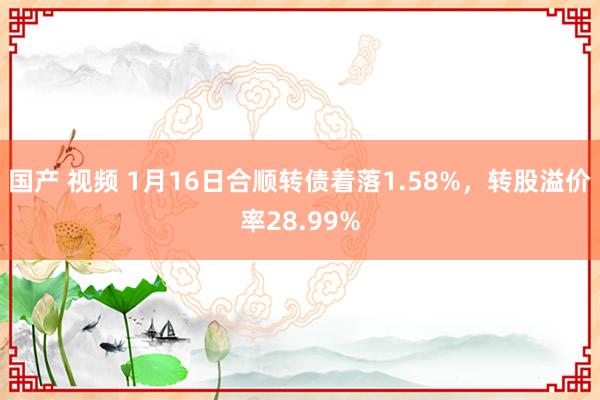 国产 视频 1月16日合顺转债着落1.58%，转股溢价率28.99%