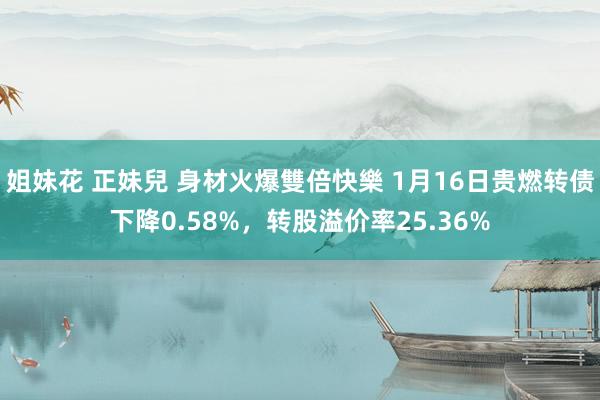 姐妹花 正妹兒 身材火爆雙倍快樂 1月16日贵燃转债下降0.58%，转股溢价率25.36%