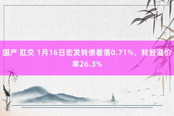 国产 肛交 1月16日宏发转债着落0.71%，转股溢价率26.3%