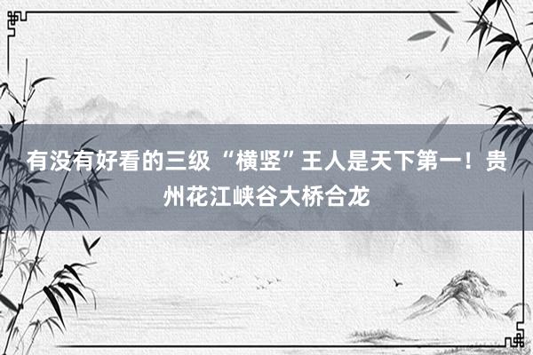 有没有好看的三级 “横竖”王人是天下第一！贵州花江峡谷大桥合龙