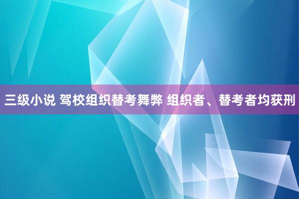 三级小说 驾校组织替考舞弊 组织者、替考者均获刑