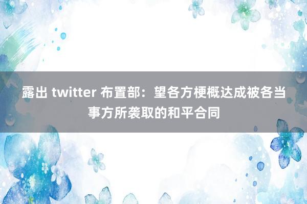 露出 twitter 布置部：望各方梗概达成被各当事方所袭取的和平合同