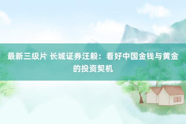 最新三级片 长城证券汪毅：看好中国金钱与黄金的投资契机