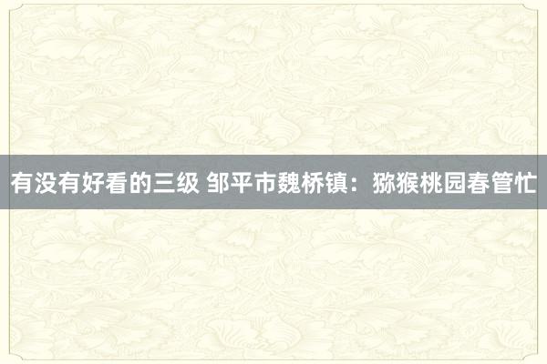 有没有好看的三级 邹平市魏桥镇：猕猴桃园春管忙
