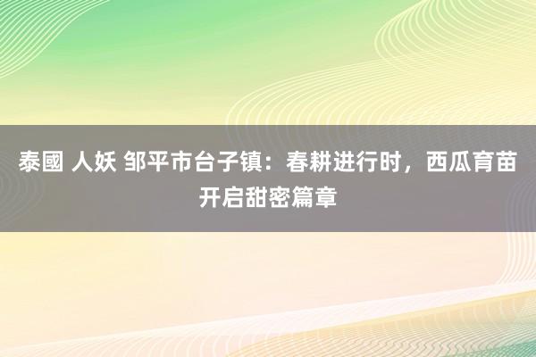 泰國 人妖 邹平市台子镇：春耕进行时，西瓜育苗开启甜密篇章