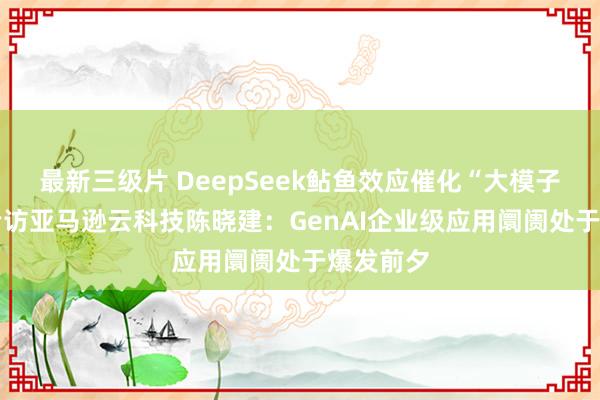 最新三级片 DeepSeek鲇鱼效应催化“大模子超市” 专访亚马逊云科技陈晓建：GenAI企业级应用阛阓处于爆发前夕