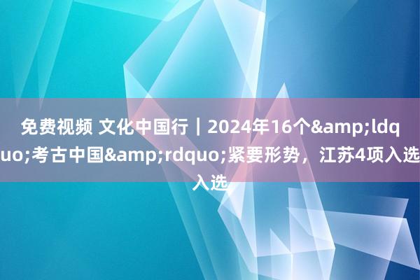 免费视频 文化中国行｜2024年16个&ldquo;考古中国&rdquo;紧要形势，江苏4项入选