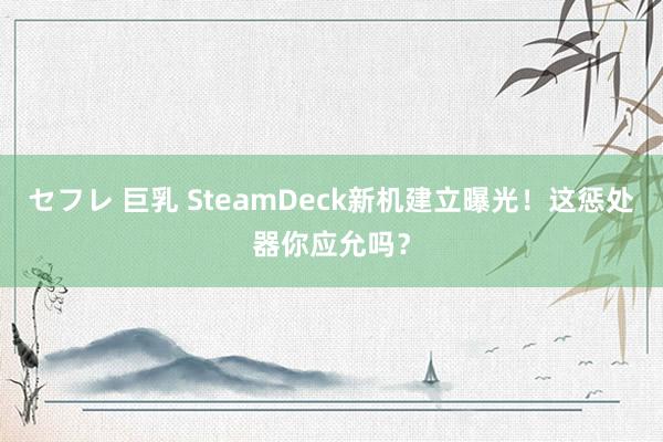 セフレ 巨乳 SteamDeck新机建立曝光！这惩处器你应允吗？