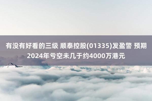 有没有好看的三级 顺泰控股(01335)发盈警 预期2024年亏空未几于约4000万港元