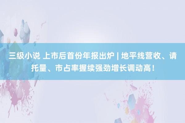 三级小说 上市后首份年报出炉 | 地平线营收、请托量、市占率握续强劲增长调动高！