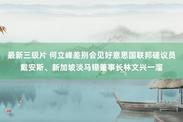 最新三级片 何立峰差别会见好意思国联邦磋议员戴安斯、新加坡淡马锡董事长林文兴一溜