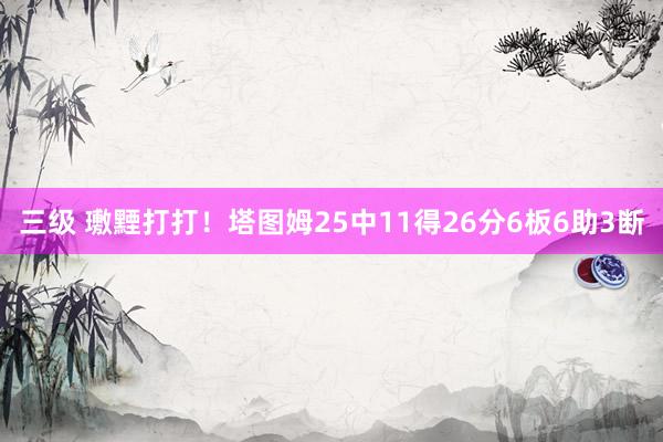 三级 璷黫打打！塔图姆25中11得26分6板6助3断