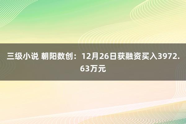 三级小说 朝阳数创：12月26日获融资买入3972.63万元