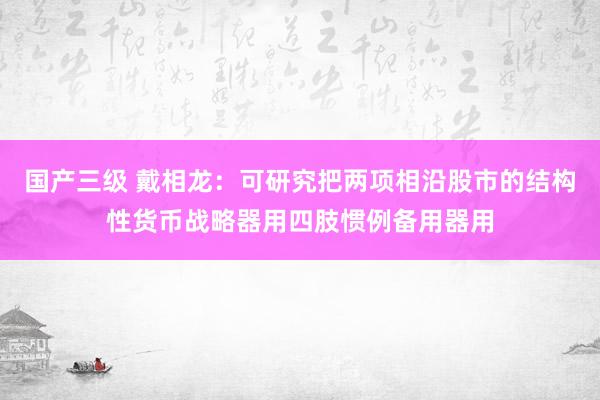 国产三级 戴相龙：可研究把两项相沿股市的结构性货币战略器用四肢惯例备用器用